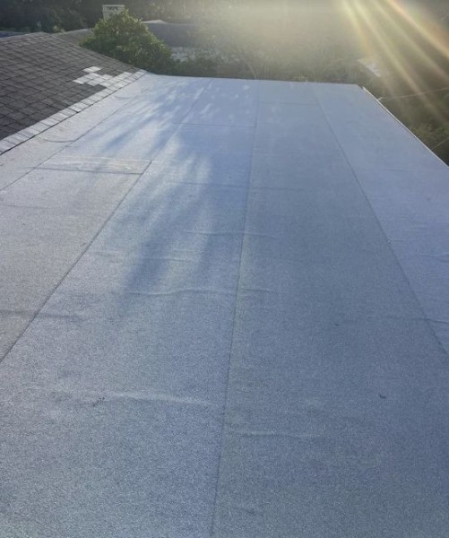Flat Roofs in Pine Hills, FL (1)